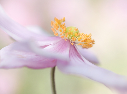 Interview with Photographer Mandy Disher