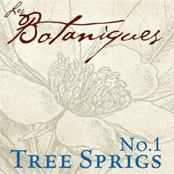 Les Botaniques. Tree Sprig Photoshop Brush Stamps