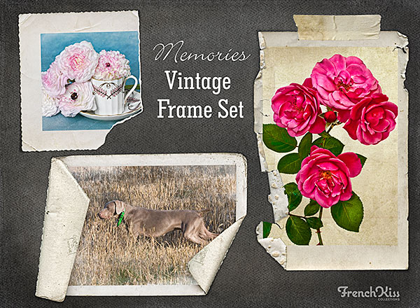 Using Layered Tiff Files From The Memories Vintage Frame Set