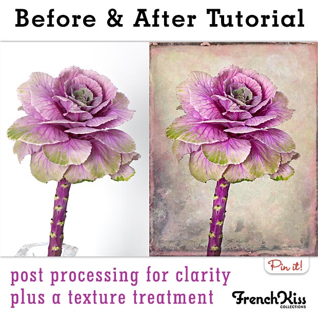 Before & After Textured Ornamental Cabbage