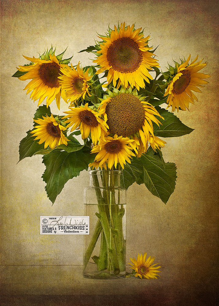 Before And After Texture Tutorial: Sunflowers