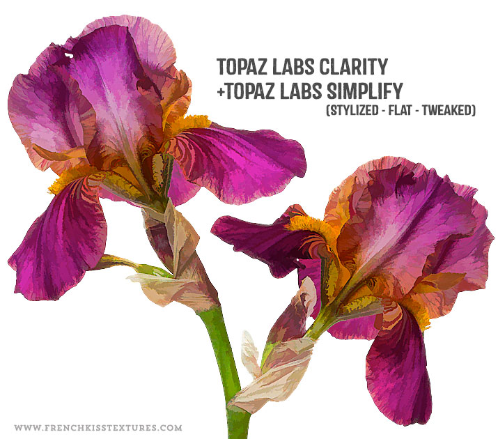 Topaz Labs Simplicity