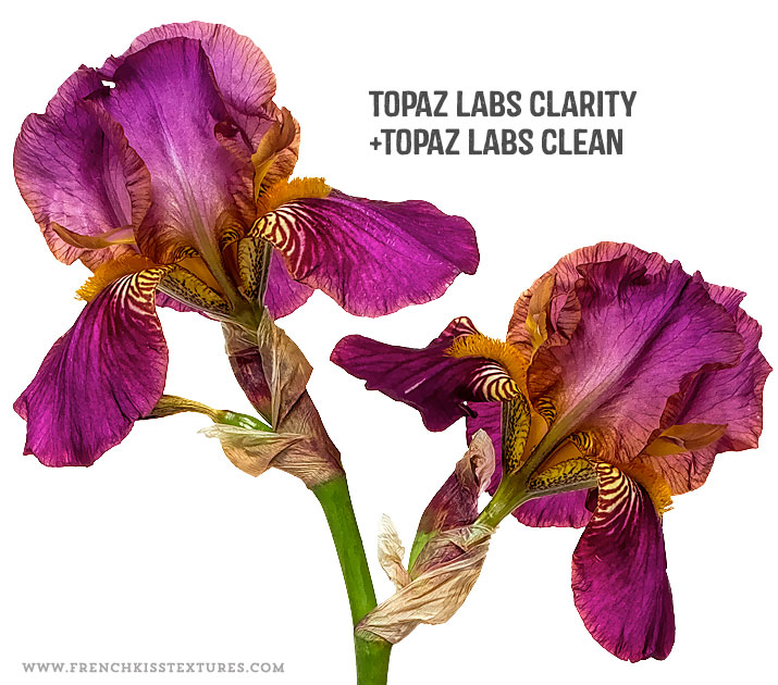 Topaz Labs Clarity and Clean filters