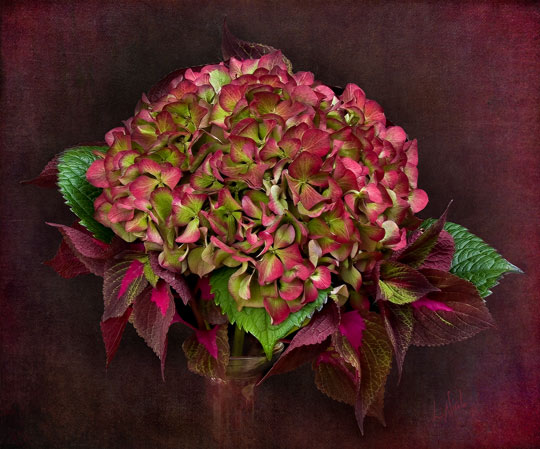Passion Posy Image with textures