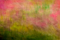 Flower Garden Texture