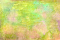 Summer Garden texture
