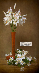 Textured Still Life Lilies Mock Orange