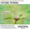 Depth of field for use with textures