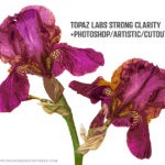 Photoshop Artistic Cutout filter