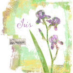 Flower motif in a design