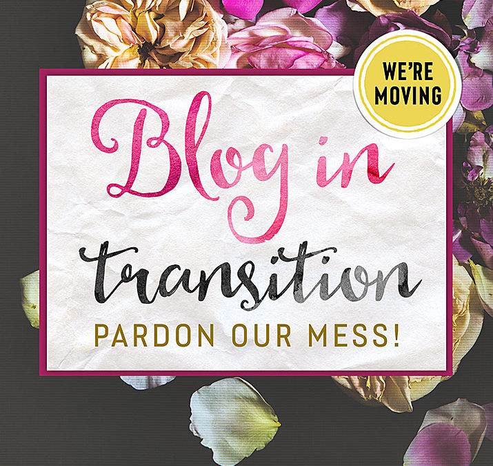 Blog In Transition – Moving